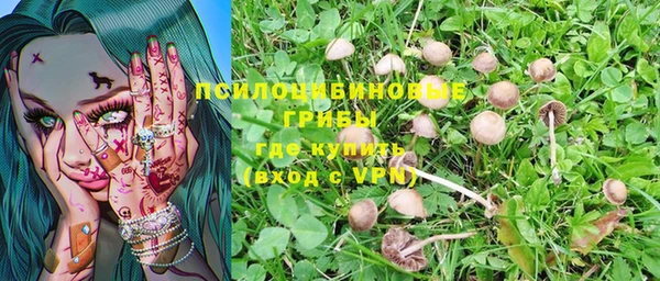 шишки Нестеровская