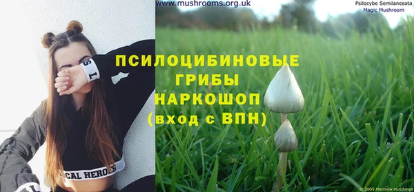 ГАЛЛЮЦИНОГЕННЫЕ ГРИБЫ Белоозёрский