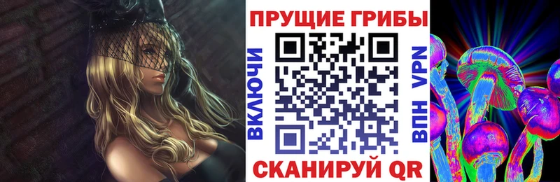 купить   Болохово  Галлюциногенные грибы MAGIC MUSHROOMS 